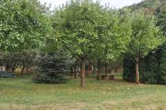 WhatsApp-Image-2022-09-12-at-18.10.24